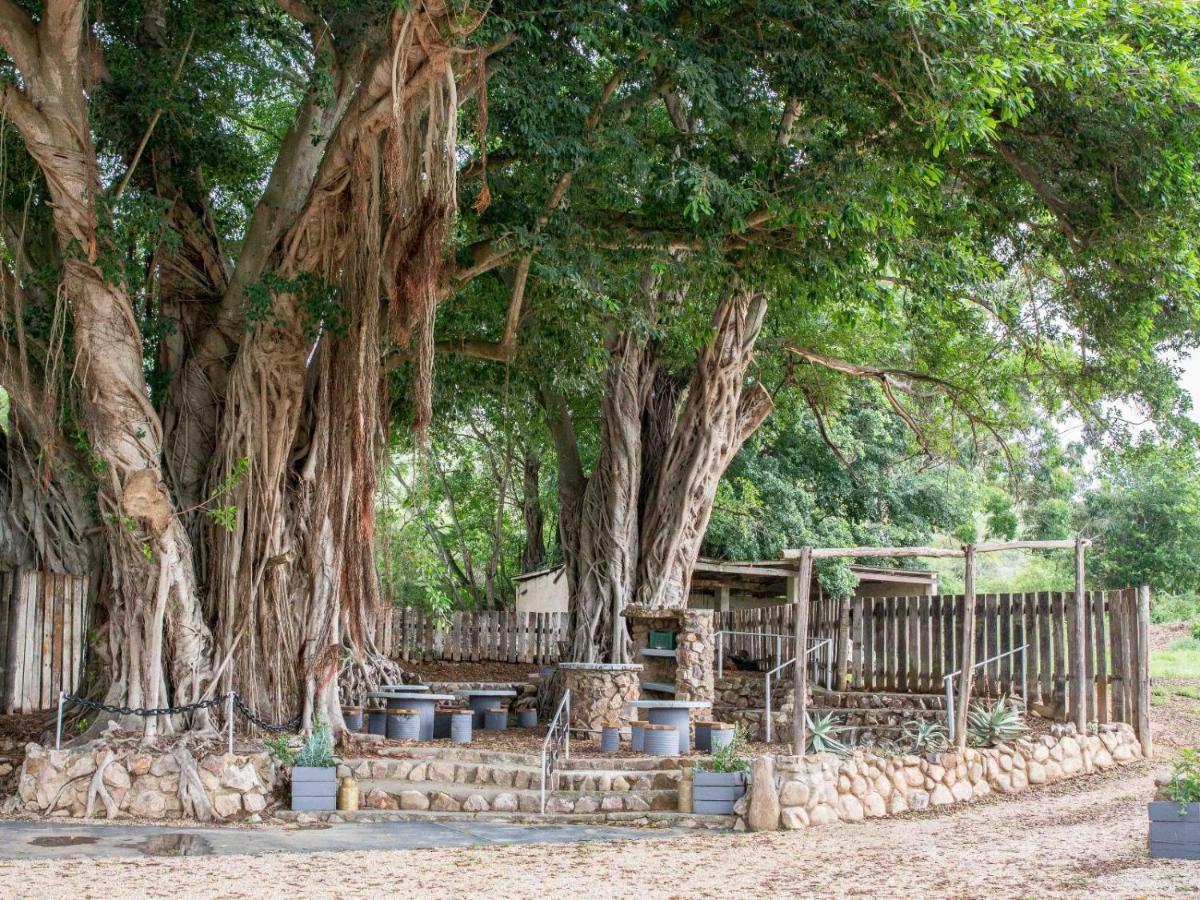 Chicane Bed And Breakfast Sunland ภายนอก รูปภาพ